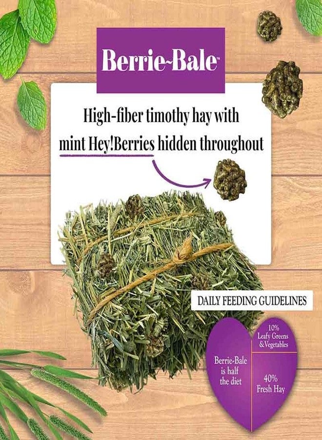 LAFEBER'S Berrie-Bale Mint for Rabbits 1 lb - Image 4