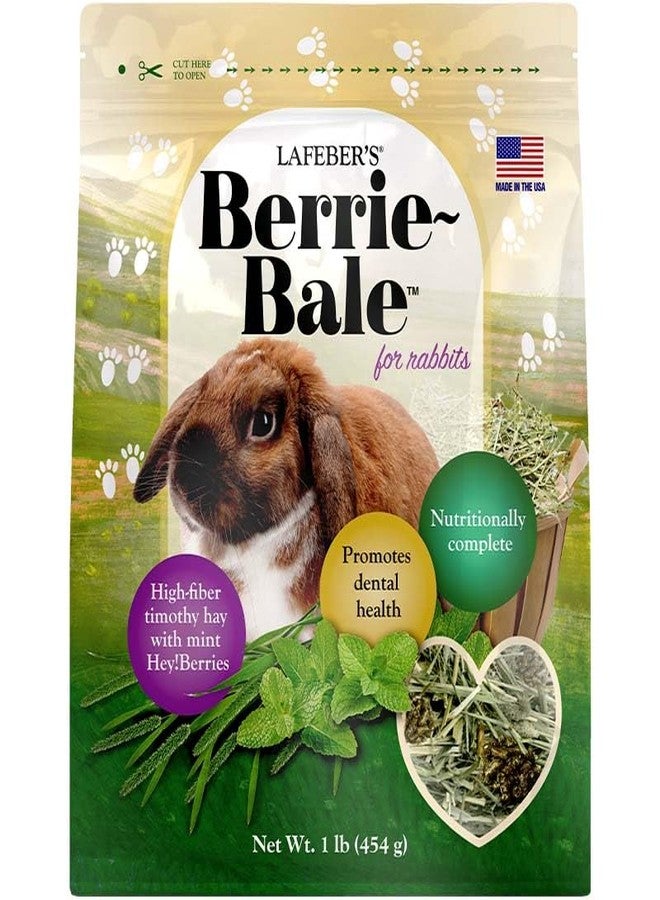 LAFEBER'S Berrie-Bale Mint for Rabbits 1 lb - Image 1