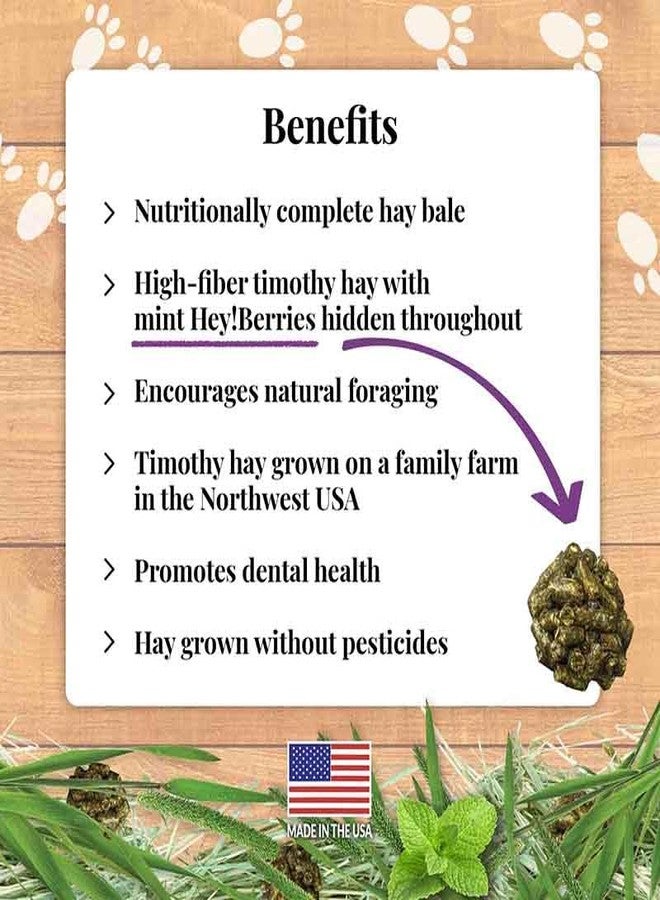 LAFEBER'S Berrie-Bale Mint for Rabbits 1 lb - Image 3