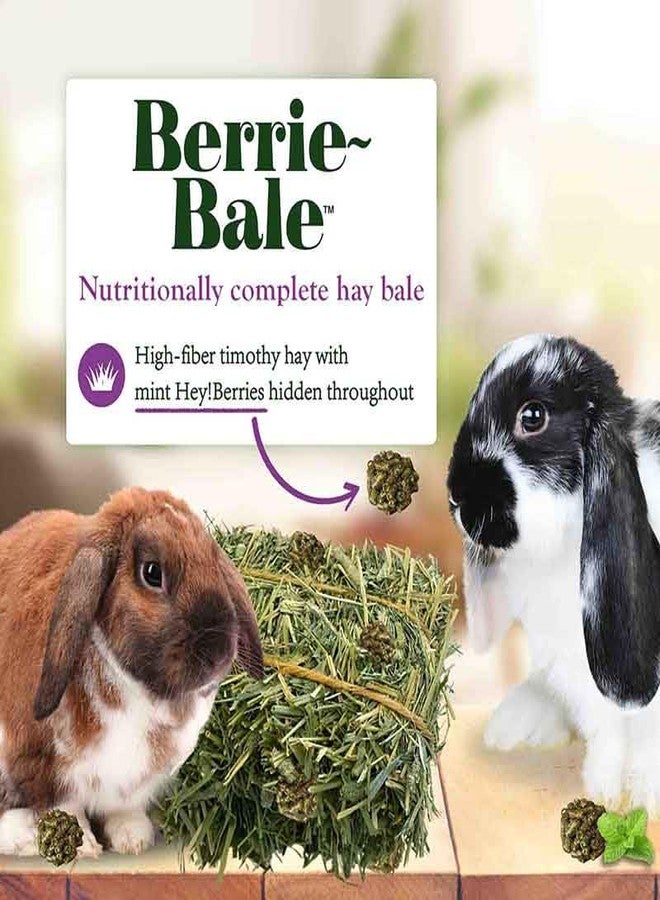LAFEBER'S Berrie-Bale Mint for Rabbits 1 lb - Image 2