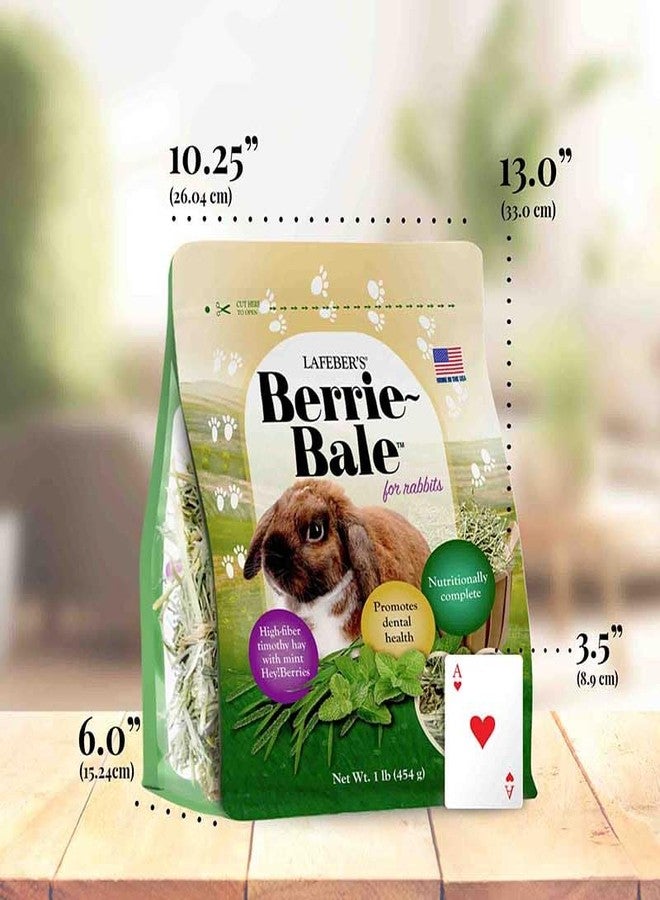 LAFEBER'S Berrie-Bale Mint for Rabbits 1 lb - Image 5