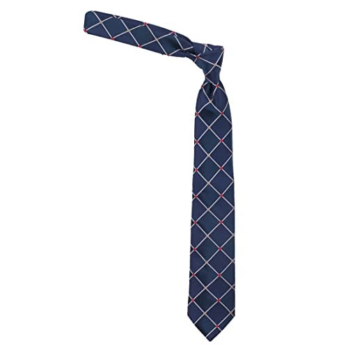 Peluche Alluring Checks Necktie For Men - Image 5