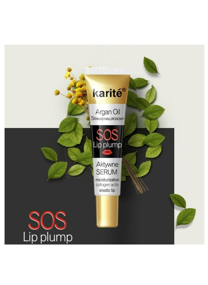 KARITE - Lip Plumper Lip Gloss Lip Maximizer Plumper Lip Extreme Volume Healthly Enhancer Hydrated Lips Moisturize Refine Dryness Wrinkles Enhances Plump Gloss - Image 1