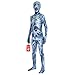 Morphsuits Kids Arachnomania Monster Costume  Medium Age 810 Height 31145 - Image 4