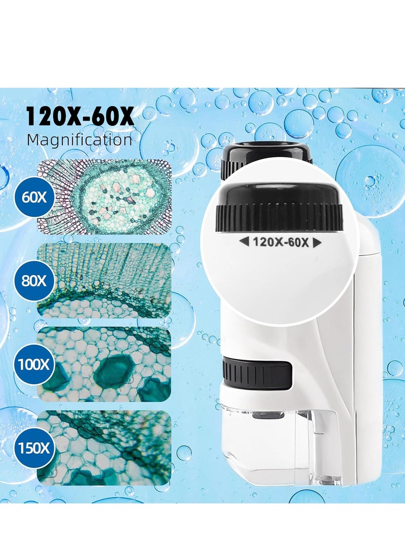 60X-120X Pocket Microscope, Portable Mini Microscope, Bright Vision, Easy Focus with Slides, Handheld Microscope for Children and Adults - Image 5