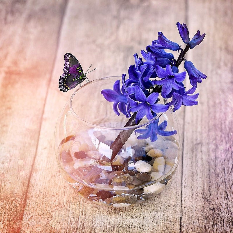 WGVI WGV Bowl Glass Vase, Diameter 8", Height 6.5", Open Width 4.75", Clear Bubble Vase, Plant Container, Fish Bowl for Wedding Party Event, Home Office Decor, 1 Piece - Image 5