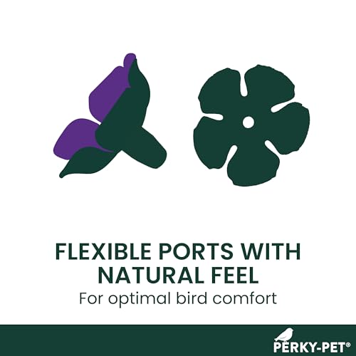 Perky-Pet Plastic Window Mount Hummingbird Feeder with Perches - 8 oz Hummingbird Nectar Capacity, 217 - Hummingbird feeders for outdoors - Image 5