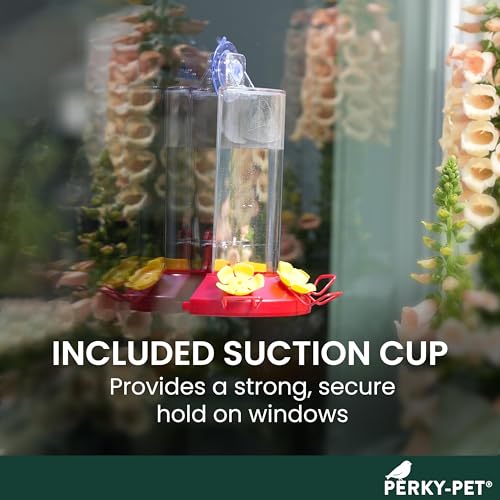 Perky-Pet Plastic Window Mount Hummingbird Feeder with Perches - 8 oz Hummingbird Nectar Capacity, 217 - Hummingbird feeders for outdoors - Image 4