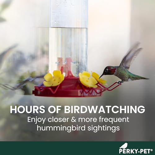 Perky-Pet Plastic Window Mount Hummingbird Feeder with Perches - 8 oz Hummingbird Nectar Capacity, 217 - Hummingbird feeders for outdoors - Image 2