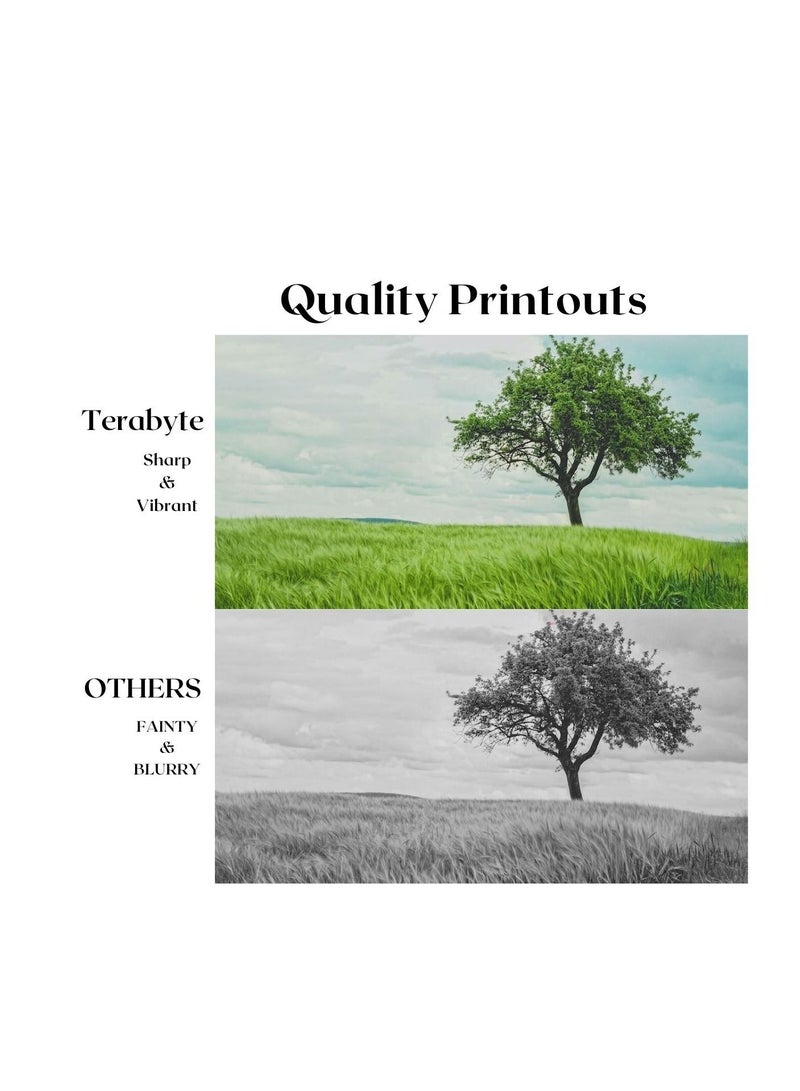 Terabyte خراطيش حبر متعددة الألوان متوافقة مع TN273 TERABYTE - Image 4