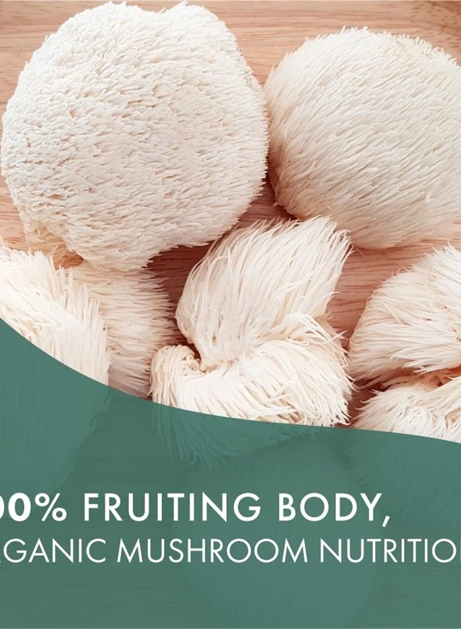 PURE ESSENCE LABS MyPure Lions Mane Organic Mushroom Supplement - 100% Real Mushroom Extract for Immune Support, Combat Stress, Build Energy - Best Immune Booster for Men and Women (60 Capsules) - Image 1