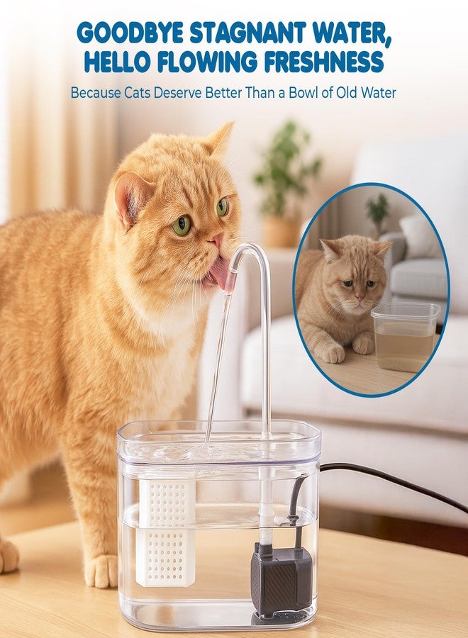 SunGrow Cat Water Fountain, Automatic Flowing Hydration Station with Filter & Silent USB Pump, Easy-to-Use Transparent Feeder Bowl for Indoor Felines, Ferrets, and Other Small Animals,6" x 5" x 5" - Image 4