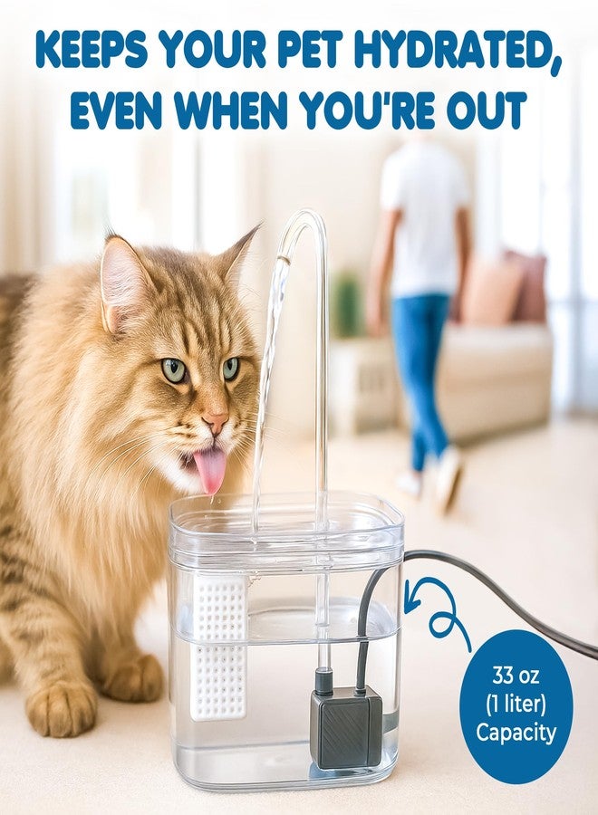 SunGrow Cat Water Fountain, Automatic Flowing Hydration Station with Filter & Silent USB Pump, Easy-to-Use Transparent Feeder Bowl for Indoor Felines, Ferrets, and Other Small Animals,6" x 5" x 5" - Image 5