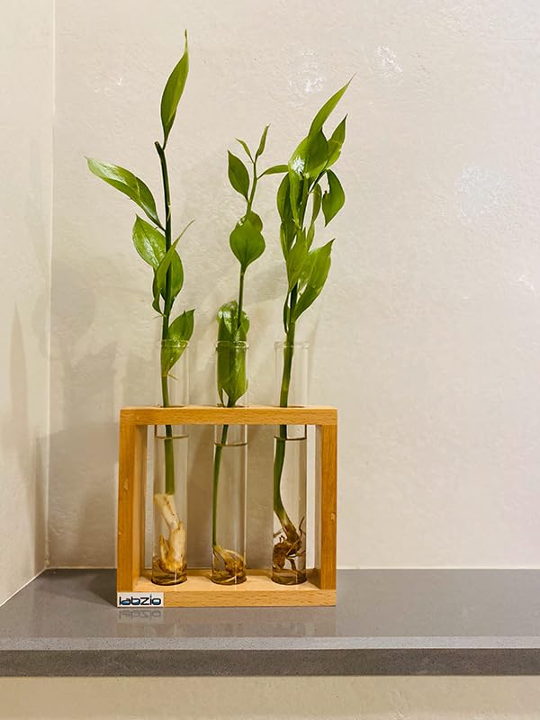 LABZIO Wooden Flower Vase – Handcrafted Decorative Stand with 3 Borosilicate Glass Test Tubes – Elegant Diwali Home & Office Decor, Festive Floral Display, Pooja Room & Wedding Gift - Image 5