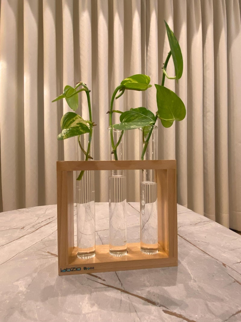 LABZIO Wooden Flower Vase – Handcrafted Decorative Stand with 3 Borosilicate Glass Test Tubes – Elegant Diwali Home & Office Decor, Festive Floral Display, Pooja Room & Wedding Gift - Image 3