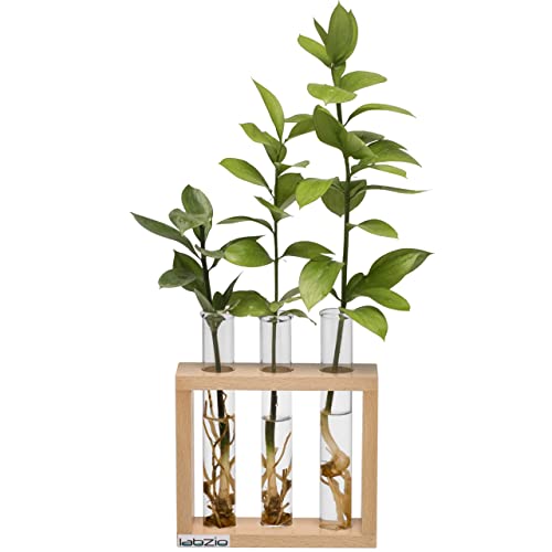 LABZIO Wooden Flower Vase – Handcrafted Decorative Stand with 3 Borosilicate Glass Test Tubes – Elegant Diwali Home & Office Decor, Festive Floral Display, Pooja Room & Wedding Gift - Image 1