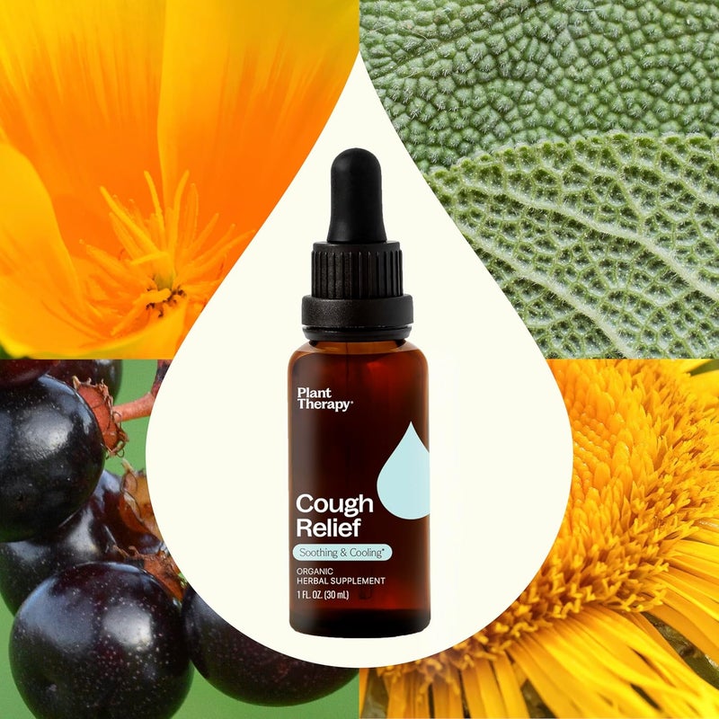 Plant Therapy صبغة تخفيف السعال العضوية من بلانت ثيرابي 30 مل 1 أونصة تهدئ بشكل طبيعي تبرد الحلق المتهيج تدعم التنفس الأسهل صبغة مكونة من الجلسرين العضوي - Image 3