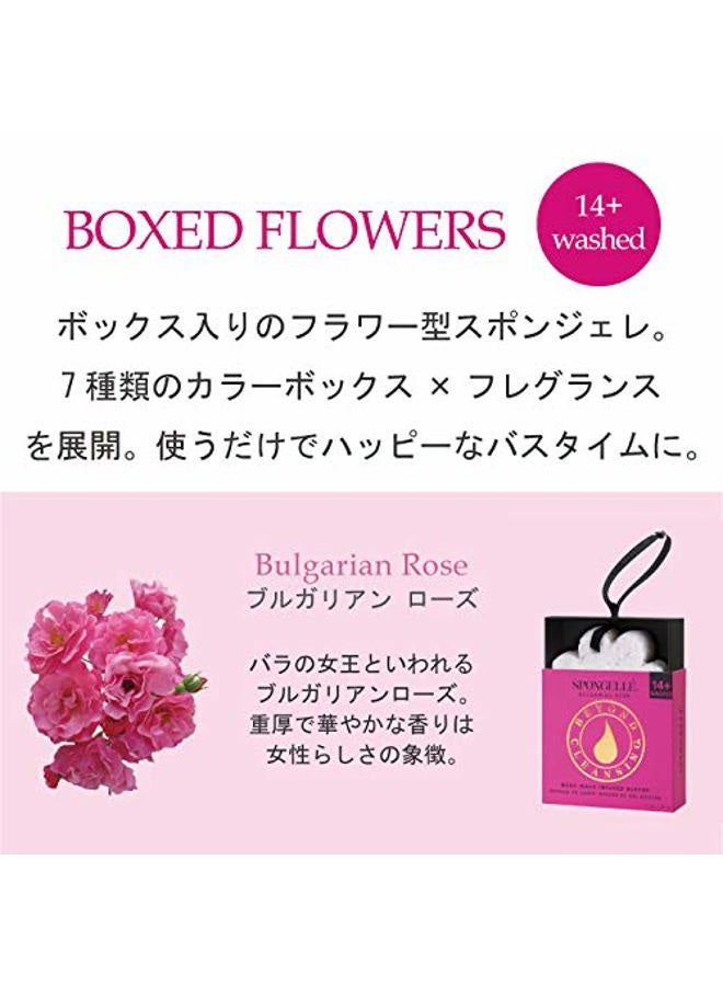 SPONGELLÉ Spongelle Flower Boxed 14+ Uses Bath Mitts and Cloths, Papaya Yuza - Image 4