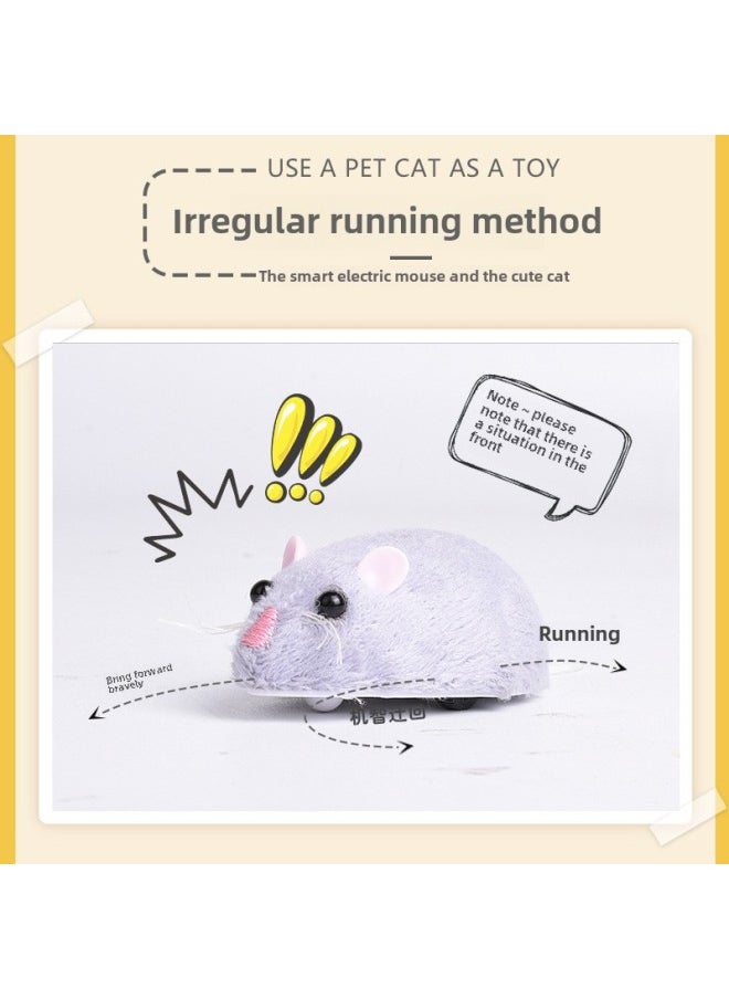 null - Strange Remote Control Mouse Infrared Remote Control Simulation Creative Simulation Animal Infrared Electric Pet Toy-Color:2-way Remote Control Spider - Image 1
