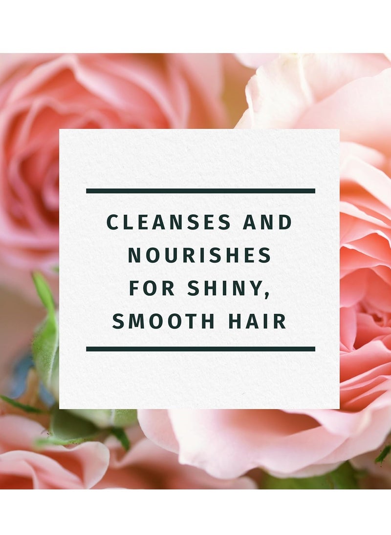 Herbal Essences مجموعة شامبو وبلسم هيربال إسنسز، مجموعة ناعمة مع فيتامين إي، وثمر الورد، والجوجوبا لشعر لامع، وخالية من البارابين، وآمنة للشعر المصبوغ، 29.2 أونصة سائلة لكل منهما، عبوتان  - Image 3