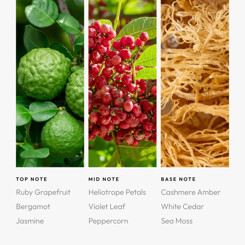 Aroma360  Red Pro-Pod Oil Blend - Hotel Inspired for Luxury Essential Oil Diffusers - Aromatherapy Scent Diffuser Oil - Ruby Grapefruit, Heliotrope Petals, Amber and Sea Moss - 50 mL, 1.7 fl oz  | Best Price UAE