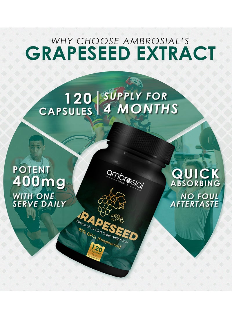 ambrosial Grape Seed Extract Capsules 95% OPCs Polyphenols High Strength Grape Seed Supplement Strong Antioxidant Pack of 1-120 Vegan Capsules  - Image 3