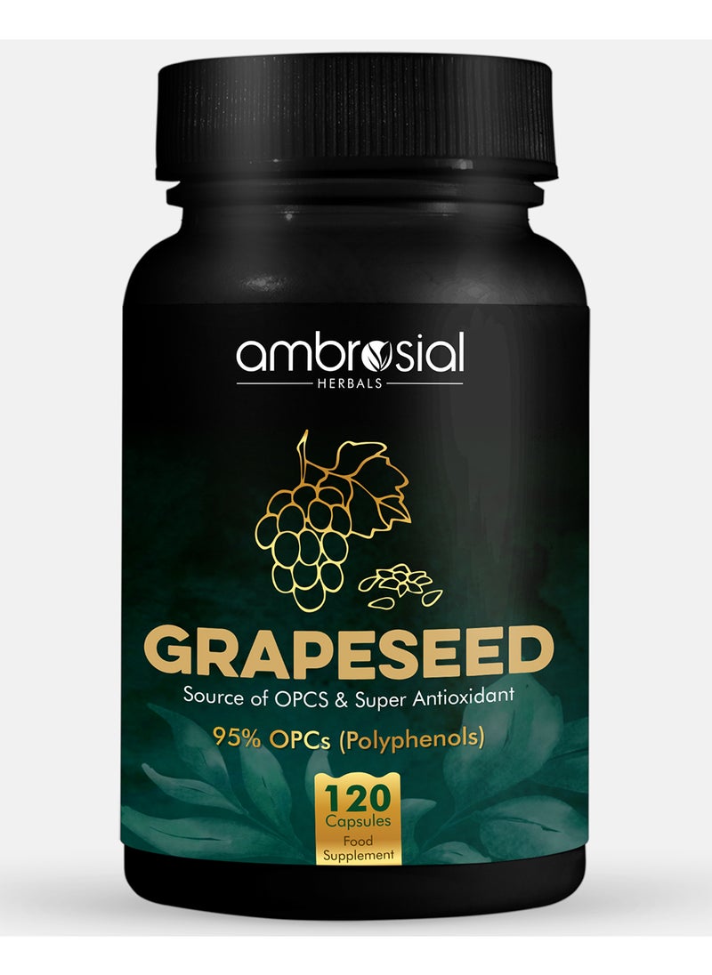 ambrosial Grape Seed Extract Capsules 95% OPCs Polyphenols High Strength Grape Seed Supplement Strong Antioxidant Pack of 1-120 Vegan Capsules  - Image 1