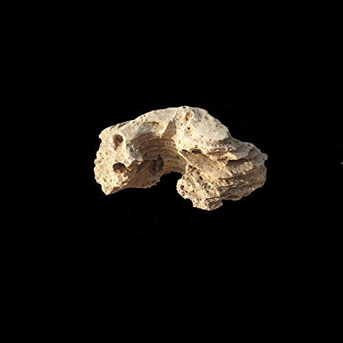 Maalavya 5 Kg Layer Rock for Aquarium Decoration and Garden Decoration Reef Tank Setup ETC. - Image 2