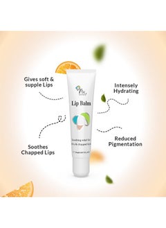 FIXDERMA Lip Balm With Vitamin C And Vitamin E | Lip Balm For Dark Lips | Lip Balm For Dry Lips & Chapped Lips | Lip Gloss | Lip Balm For Women & Men - 15Ml, White  - Image 3