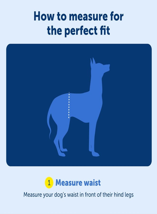 بيت سيف حزام دعم خلفي PetSafe CareLift - أداة رفع بمقبض وحزام كتف - يناسب محيط خصر من 27 إلى 37 بوصة، ووزن كلب من 70 إلى 130 رطلاً، كبير، أسود - Image 5