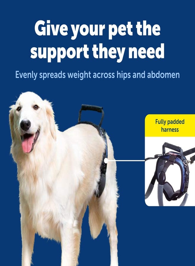 بيت سيف حزام دعم خلفي PetSafe CareLift - أداة رفع بمقبض وحزام كتف - يناسب محيط خصر من 27 إلى 37 بوصة، ووزن كلب من 70 إلى 130 رطلاً، كبير، أسود - Image 3