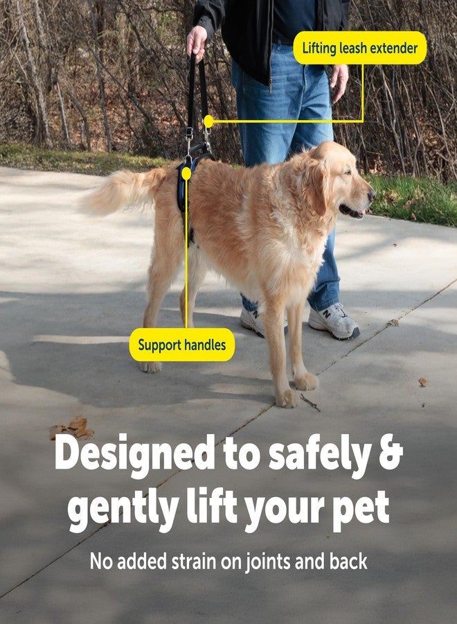 بيت سيف حزام دعم خلفي PetSafe CareLift - أداة رفع بمقبض وحزام كتف - يناسب محيط خصر من 27 إلى 37 بوصة، ووزن كلب من 70 إلى 130 رطلاً، كبير، أسود - Image 4