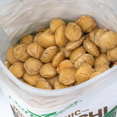 HerbaZest Sacha Inchi Seeds (2 LB) – USDA Certified Organic – Vegan, Non-GMO & Gluten-Free – Perfect for Snacks, Baked & Non-Baked Goods - Image 4