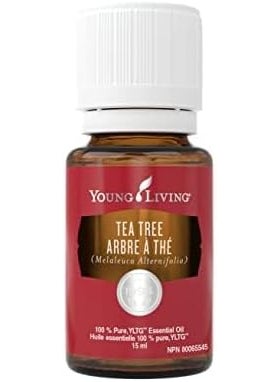 Young Living Young Living Tea Tree Premium Essential Oil - 15ml - Aromatherapy Diffuser - Skin Care for Skin & Nails - Healthy Hair and Scalp - 100% Pure & Natural 