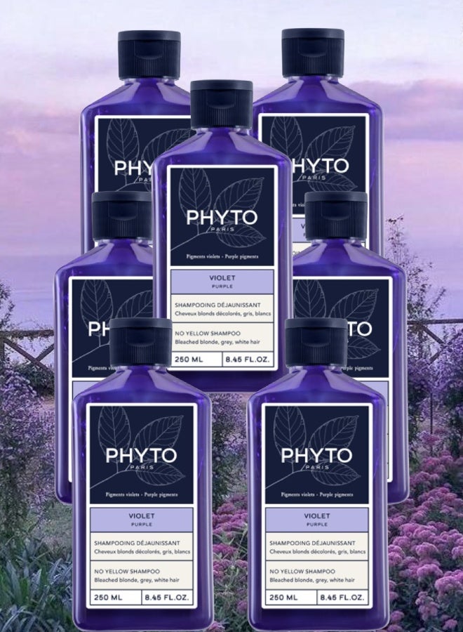 فيتو 7 قطع شامبو فيتو باريس البنفسجي بدون اصفرار 250مل - Image 1