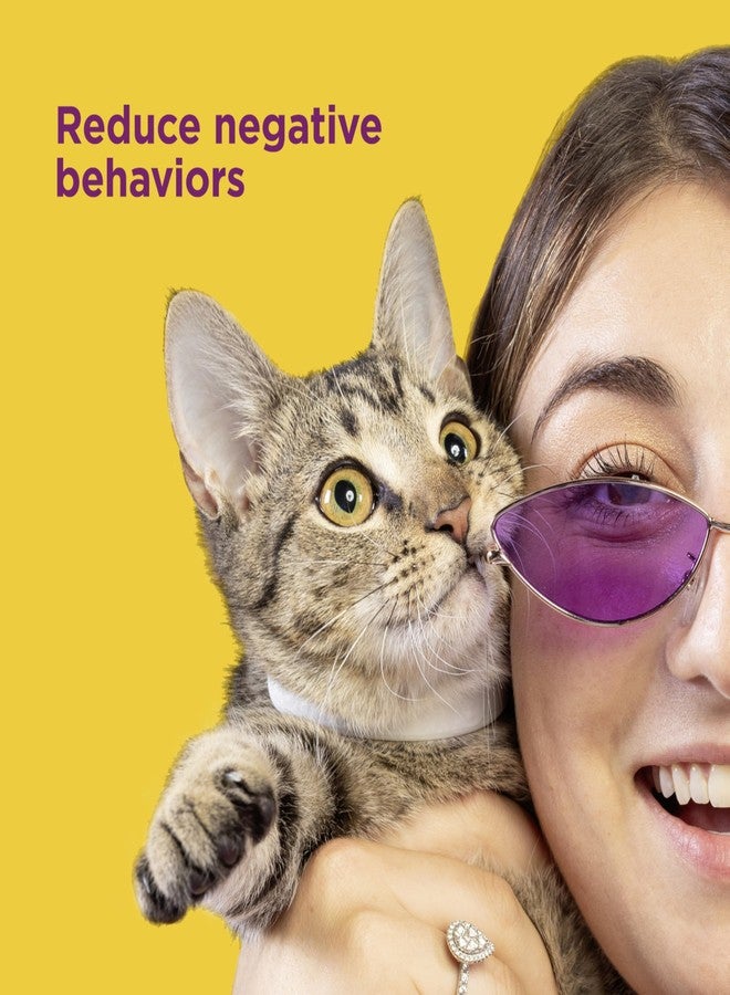 Comfort Zone Cat Calming Collar: 1 30-Day Calming Collar; Cat Pheromones Help Anxiety, Reduce Stress, Urine Marking, Scratching; Indoor or Outdoor Cats; Long-Lasting - Image 4