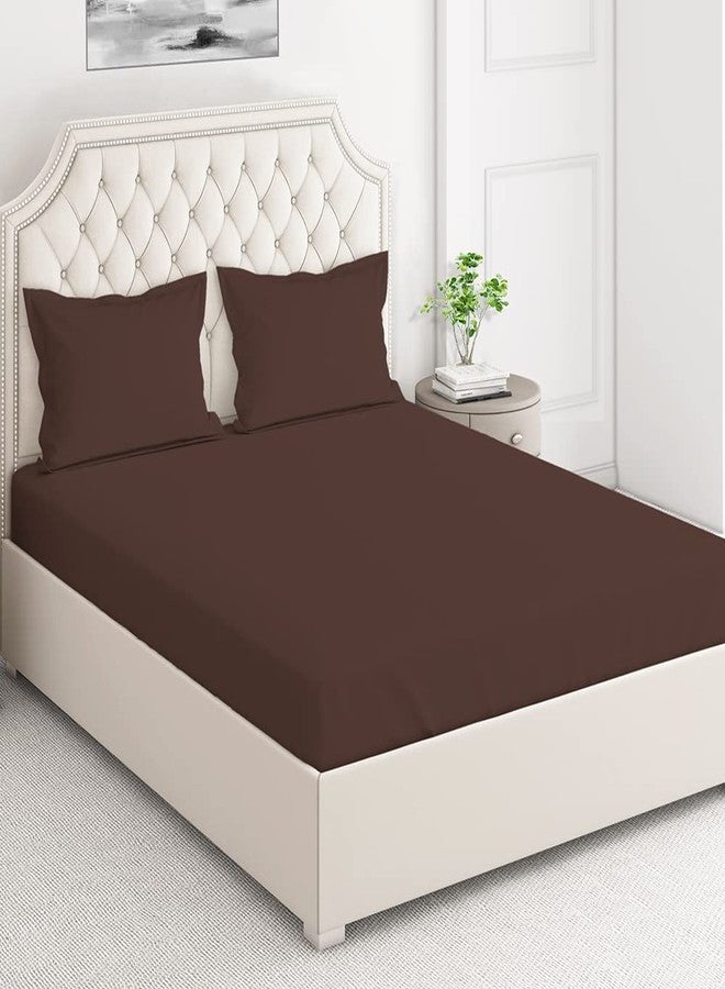 Layers ملاءة سرير قطنية 100%، 144 خيط، مطاطية، مناسبة لسرير مزدوج أو سرير كينج، مع غطاءين للوسائد (بني داكن، نقش سادة)، مطاطية من جميع الجهات، ماصة للرطوبة، لطيفة على البشرة - مجموعة بي بولد - Image 2