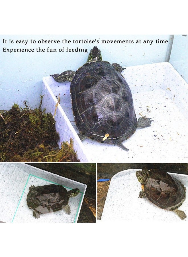 Kathson Reptile Tortoise Turtle Feeding Dish With Ramp And Basking Platform Plastic Turtle Food And Water Bowl Also Fit For Bath Horned Frogs Lizards Amphibians(White, Emulational Granite) - Image 4