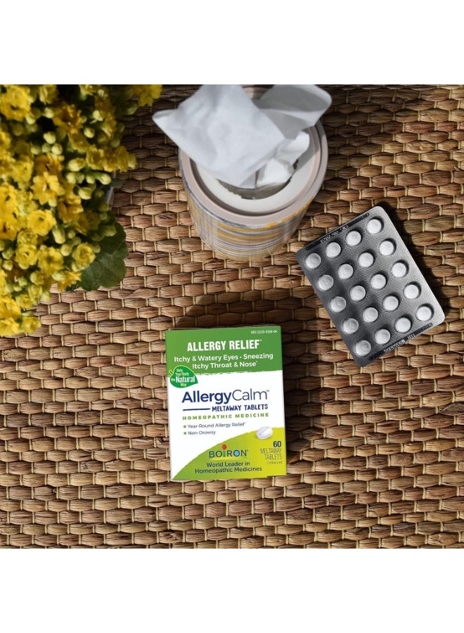 بويرون أليرجي كالم تخفيف الحساسية بدون نكهة 60 قرصًا سريع الذو - Image 3