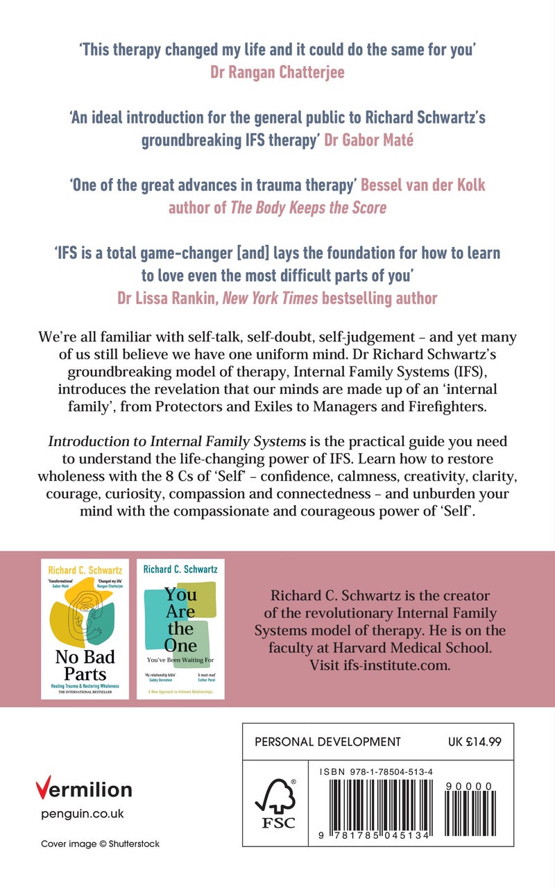 Introduction to Internal Family Systems - Image 1