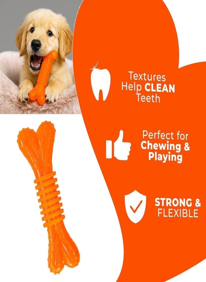 PETZLUV Dog Chew Toy Set for Small & Medium Dogs ? 6 Pieces Durable Rope Toys, Rubber Bone & Bouncy Foam Ball ? Interactive Dog Toys for Teething, Tug, Chew & Fetch ? Colorful & Safe - Color May Vary - Image 3
