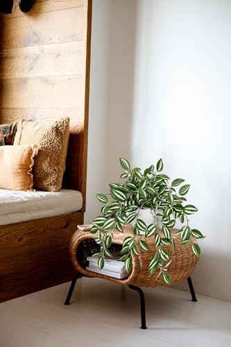 Briful Fake Plants Indoor Artificial Potted Silk Plants Faux Watermelon Peperomia Cascading Vine Plant for Home Office Livingroom Desk Shelf Mantle Decoration(Green/White - 1 Pack) - Image 5