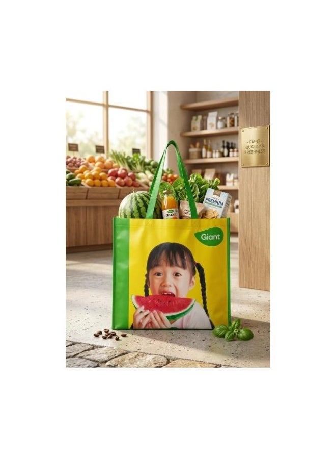 Giant Insulated thermal shopping bag - Foldable bag for keeping food hot or cold - Image 1