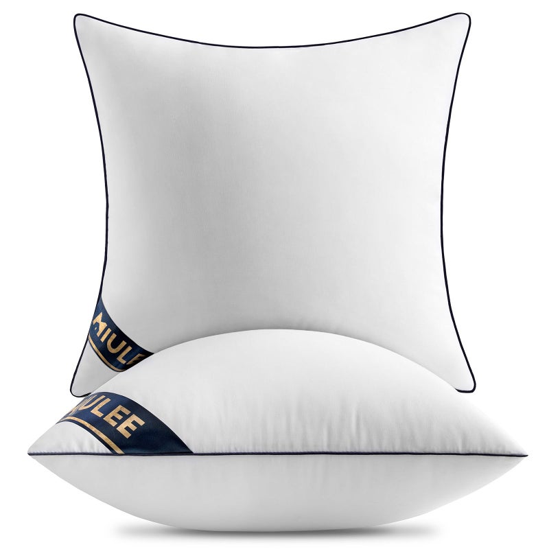 MIULEE MIULEE 26x26 Euro Pillow Inserts Set of 2 Throw Pillows 26 Inch Premium Down Alternative Pillow Inserts Decorative Pillow Stuffer for Sofa  Couch (26x26 inch  Set of 2)  - Image 1