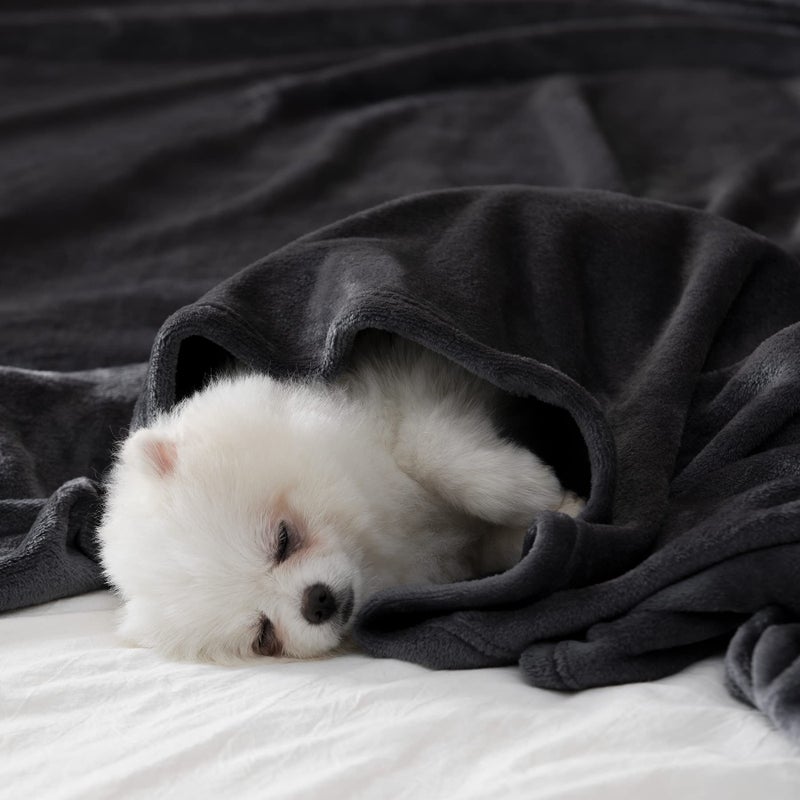 BEAUTEX Fleece Blanket King Size Super Soft Flannel Throw Blanket Lightweight Fuzzy Plush Blanket for Couch Sofa or Bed All Seasons (Black  108"" x 90"") - Image 2