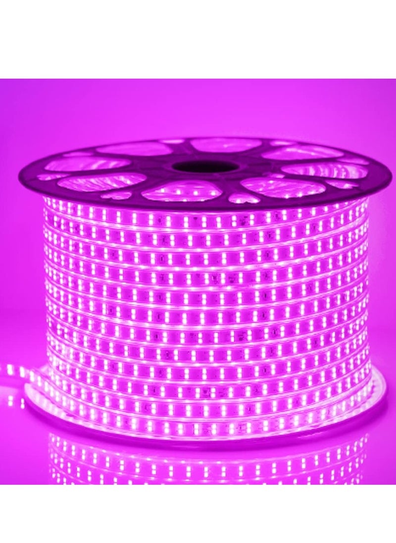 Imported wireless LED strip 100meter double row , 120LED/meter, 11W/meter, cuttable every 1meter, 10kg weight, high lumens and strong lighting with 11mm 4A power connector with five-year warranty from TEC Light.