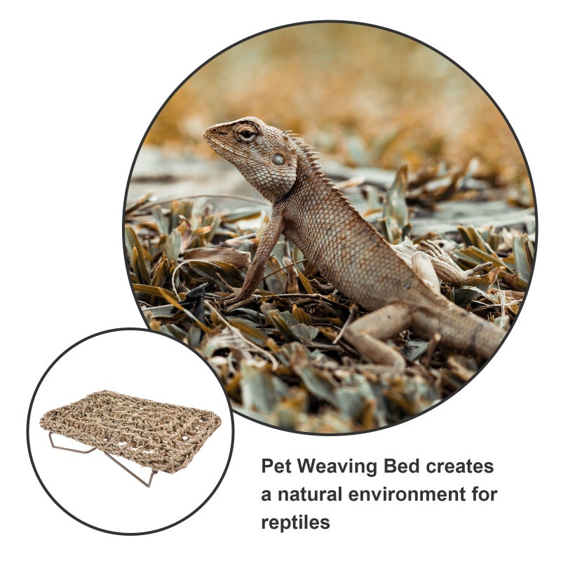 Reptile Lizard Lounger Bed Bearded Dragon Woven Lounger Bed Reptile Snake Lizard Sleeping Bed - Image 5