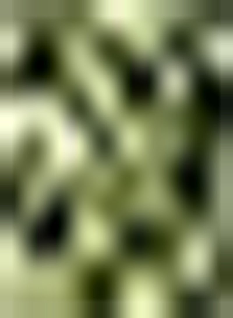 GGOOT 200pcs Kiwi Fruit Seeds You Can Eat It Straight or Juice It Refreshing Fruit Unique Aroma Lead A Person to Endless Aftertastes - Image 2