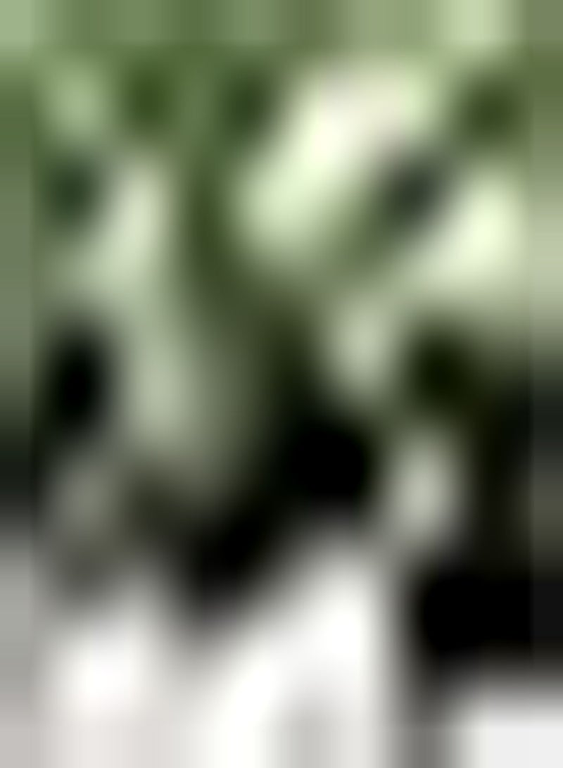 GGOOT 200pcs Kiwi Fruit Seeds You Can Eat It Straight or Juice It Refreshing Fruit Unique Aroma Lead A Person to Endless Aftertastes - Image 1