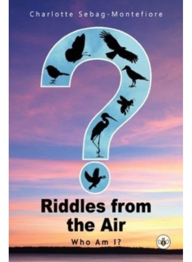Riddles from the Air - Paperback